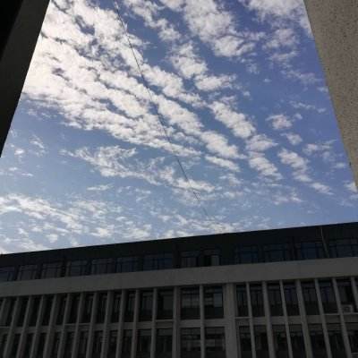 醉神舞bt版手游下载